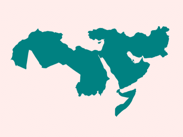 Middle East & North Africa